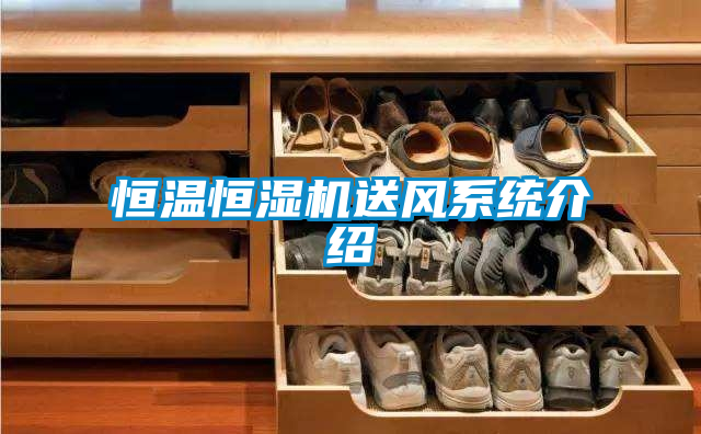 恒溫恒濕機送風(fēng)系統(tǒng)介紹