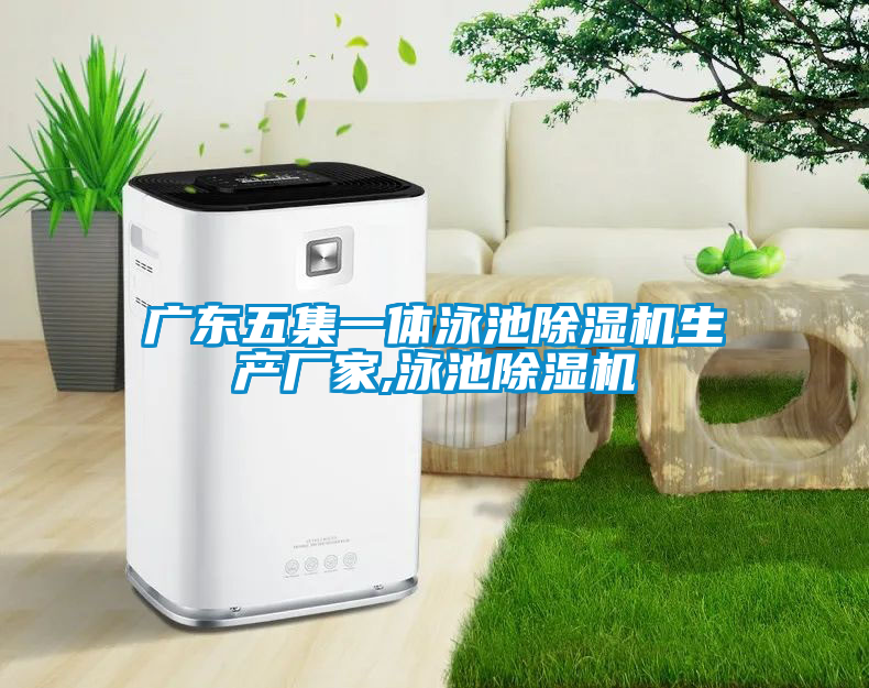 廣東五集一體泳池除濕機生產廠家,泳池除濕機
