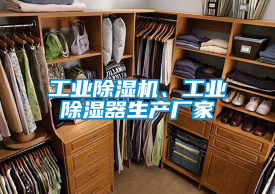 工業(yè)除濕機(jī)、工業(yè)除濕器生產(chǎn)廠家