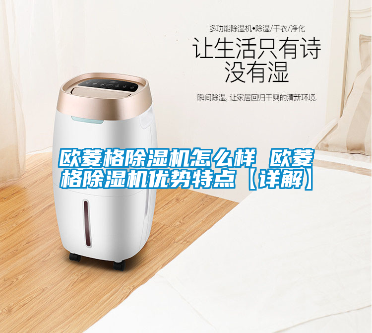 歐菱格除濕機怎么樣 歐菱格除濕機優(yōu)勢特點【詳解】