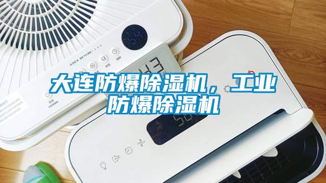 大連防爆除濕機，工業防爆除濕機