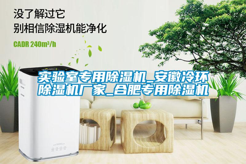 實驗室專用除濕機_安徽冷環(huán)除濕機廠家_合肥專用除濕機