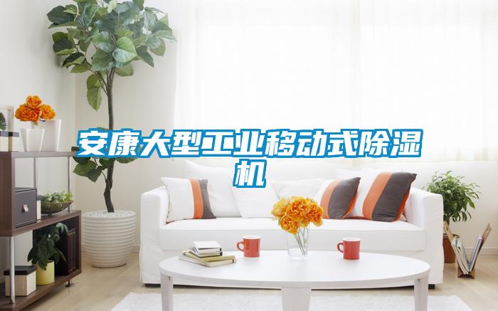 安康大型工業移動式除濕機