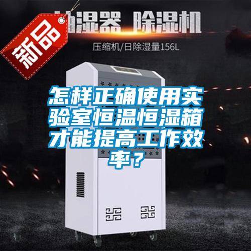 怎樣正確使用實驗室恒溫恒濕箱才能提高工作效率？