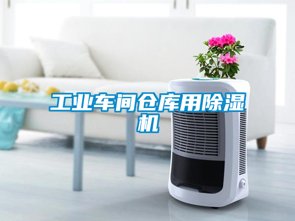 工業(yè)車間倉(cāng)庫(kù)用除濕機(jī)