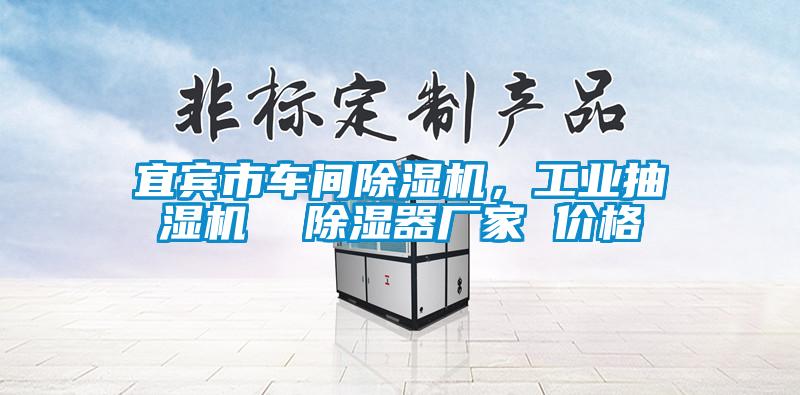 宜賓市車間除濕機(jī)，工業(yè)抽濕機(jī)  除濕器廠家 價(jià)格