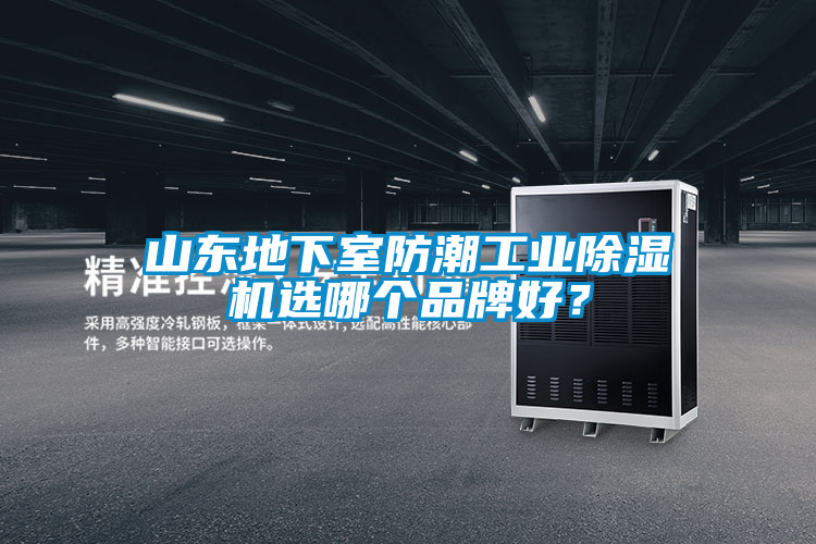 山東地下室防潮工業除濕機選哪個品牌好？
