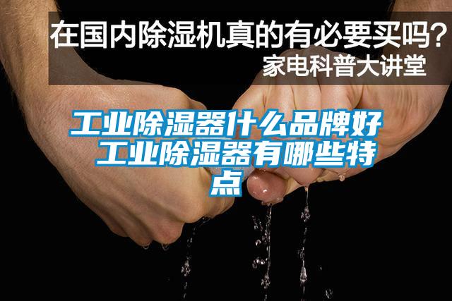 工業除濕器什么品牌好 工業除濕器有哪些特點