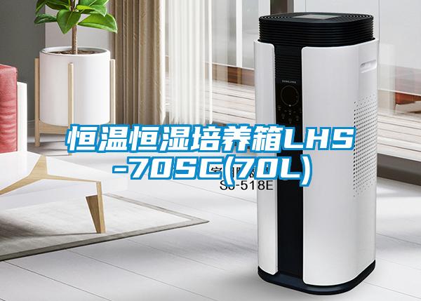 恒溫恒濕培養箱LHS-70SC(70L)