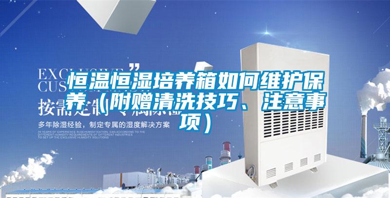恒溫恒濕培養(yǎng)箱如何維護(hù)保養(yǎng)（附贈(zèng)清洗技巧、注意事項(xiàng)）