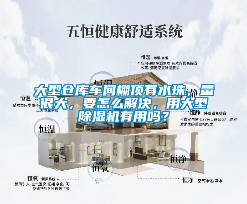 大型倉(cāng)庫(kù)車(chē)間棚頂有水珠，量很大，要怎么解決，用大型除濕機(jī)有用嗎？