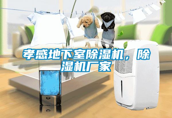 孝感地下室除濕機，除濕機廠家