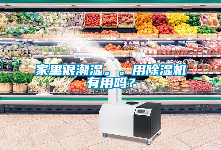 家里很潮濕。。用除濕機有用嗎？