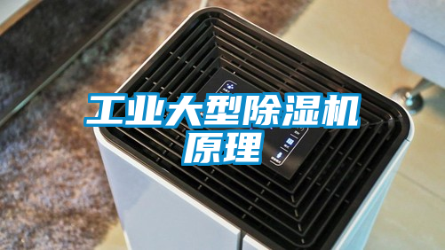 工業大型除濕機原理