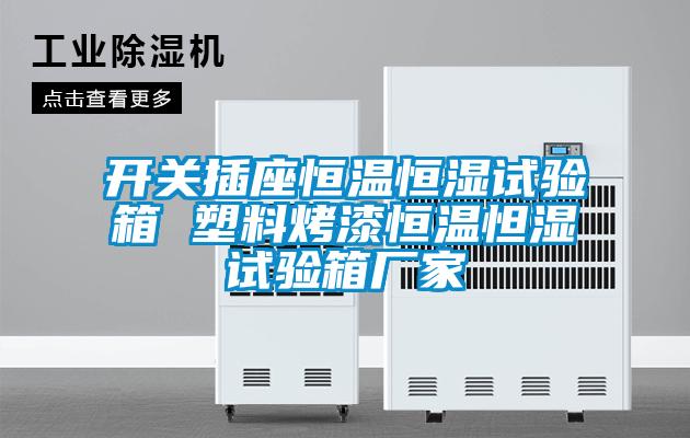 開關插座恒溫恒濕試驗箱 塑料烤漆恒溫怛濕試驗箱廠家