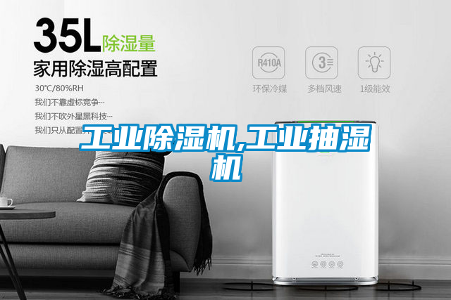 工業(yè)除濕機,工業(yè)抽濕機