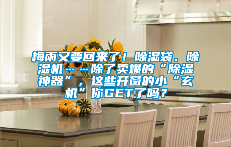 梅雨又要回來了！除濕袋、除濕機(jī)……除了賣爆的“除濕神器”，這些開窗的小“玄機(jī)”你GET了嗎？