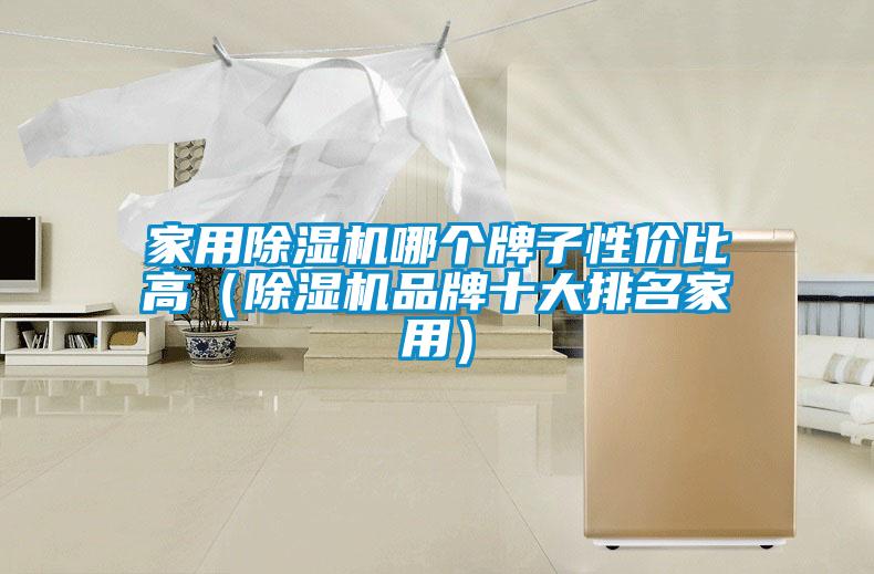 家用除濕機哪個牌子性價比高（除濕機品牌十大排名家用）