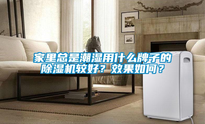 家里總是潮濕用什么牌子的除濕機(jī)較好？效果如何？