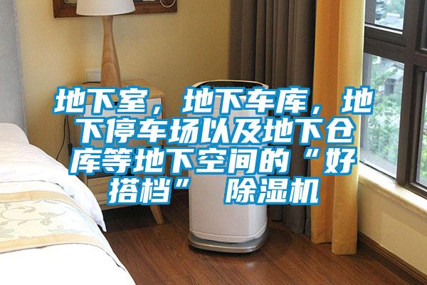 地下室，地下車庫，地下停車場以及地下倉庫等地下空間的“好搭檔” 除濕機
