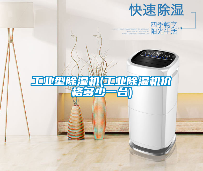 工業型除濕機(工業除濕機價格多少一臺)