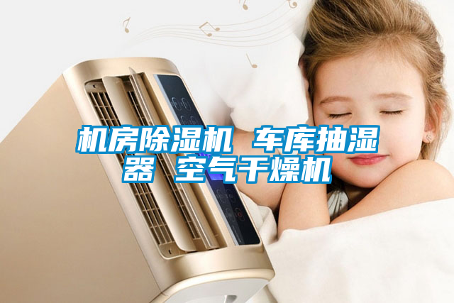 機(jī)房除濕機(jī) 車庫抽濕器 空氣干燥機(jī)
