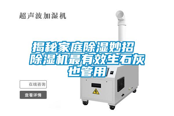 揭秘家庭除濕妙招 除濕機最有效生石灰也管用