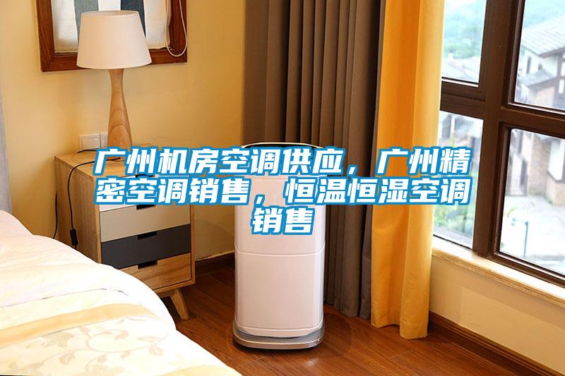 廣州機(jī)房空調(diào)供應(yīng)，廣州精密空調(diào)銷(xiāo)售，恒溫恒濕空調(diào)銷(xiāo)售