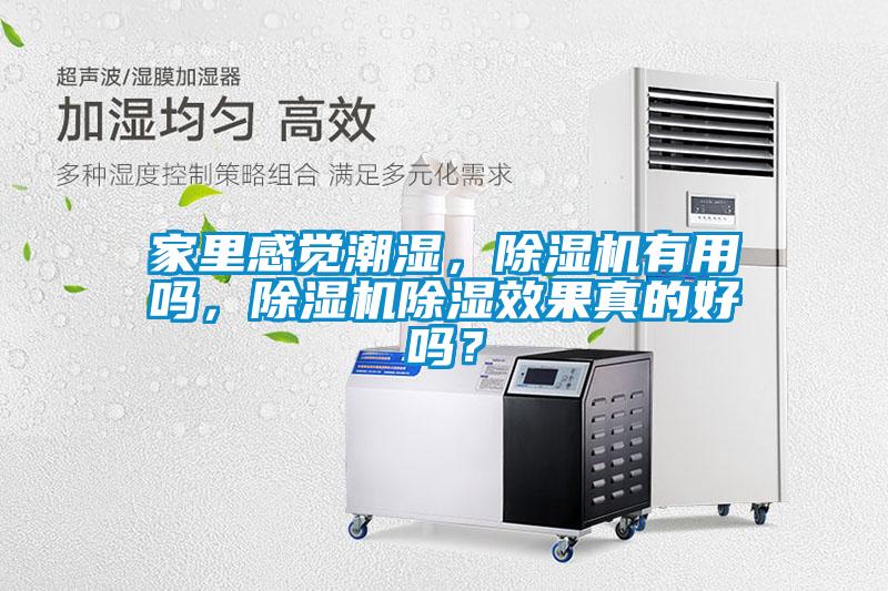 家里感覺潮濕，除濕機有用嗎，除濕機除濕效果真的好嗎？