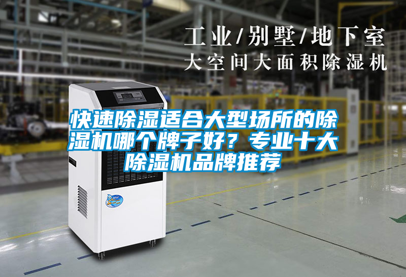 快速除濕適合大型場所的除濕機哪個牌子好？專業十大除濕機品牌推薦