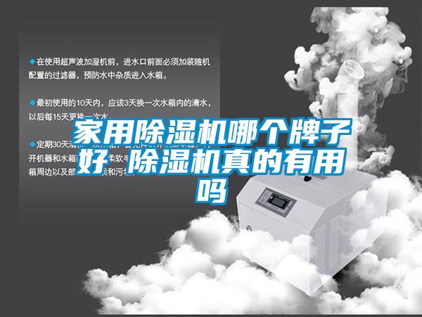 家用除濕機哪個牌子好 除濕機真的有用嗎