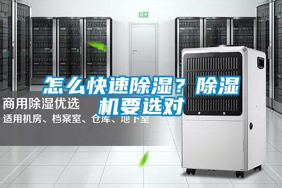 怎么快速除濕？除濕機要選對