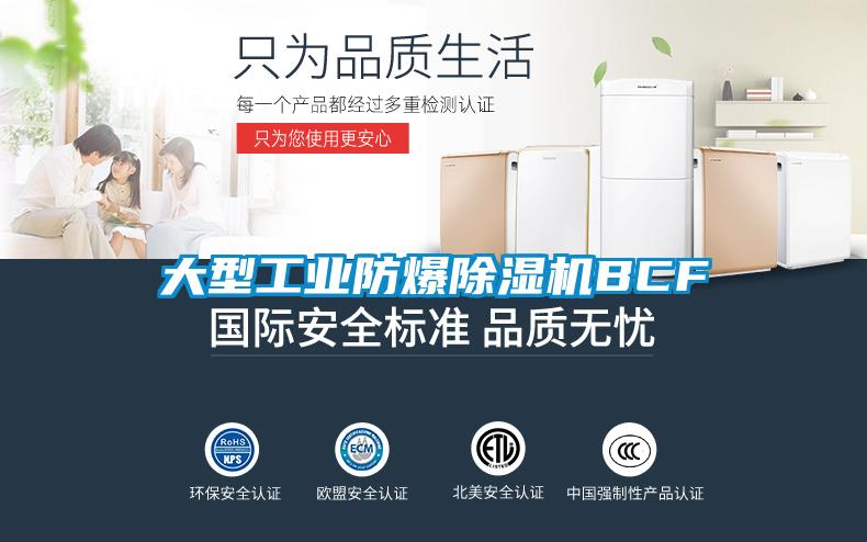 大型工業(yè)防爆除濕機BCF