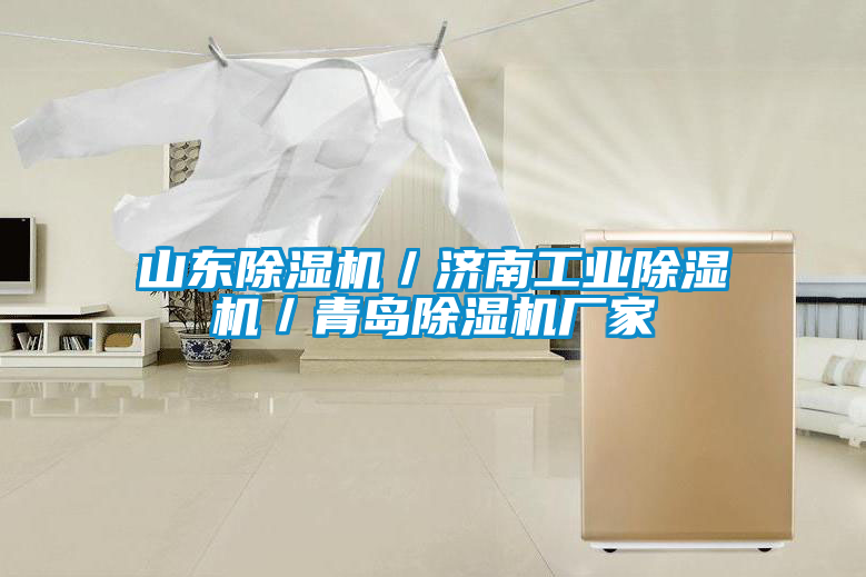 山東除濕機／濟南工業除濕機／青島除濕機廠家