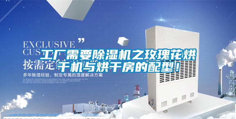 工廠需要除濕機之玫瑰花烘干機與烘干房的配型！