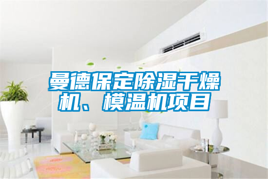 曼德保定除濕干燥機(jī)、模溫機(jī)項(xiàng)目