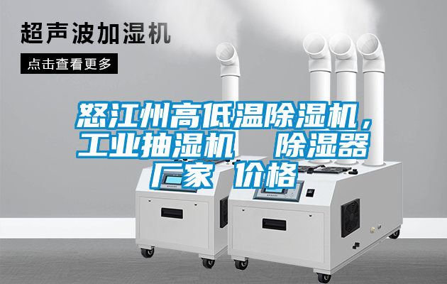 怒江州高低溫除濕機，工業抽濕機  除濕器廠家 價格
