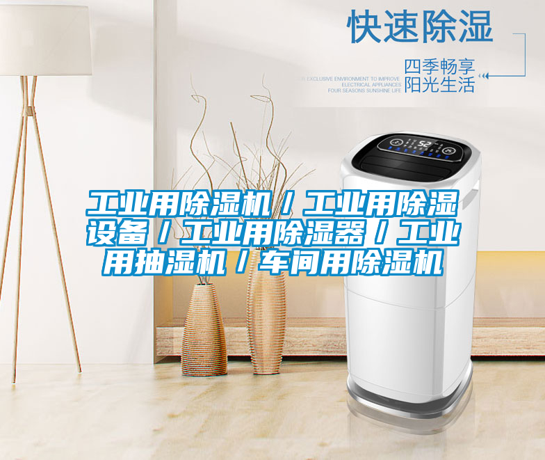 工業(yè)用除濕機／工業(yè)用除濕設(shè)備／工業(yè)用除濕器／工業(yè)用抽濕機／車間用除濕機