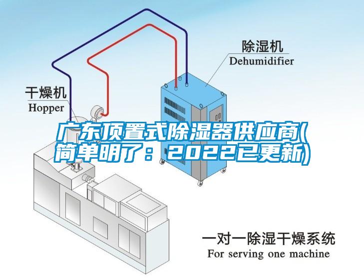 廣東頂置式除濕器供應商(簡單明了：2022已更新)