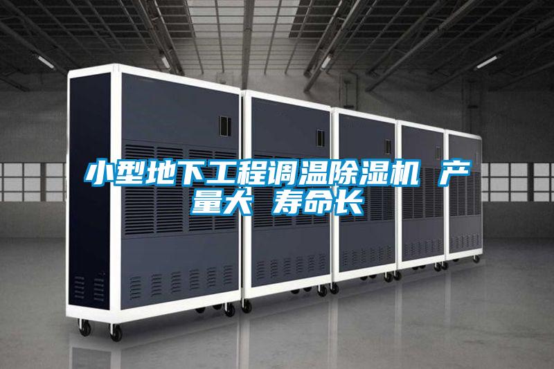 小型地下工程調(diào)溫除濕機(jī) 產(chǎn)量大 壽命長(zhǎng)
