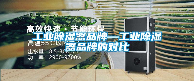 工業除濕器品牌—工業除濕器品牌的對比