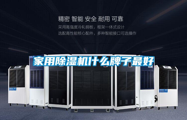 家用除濕機什么牌子最好