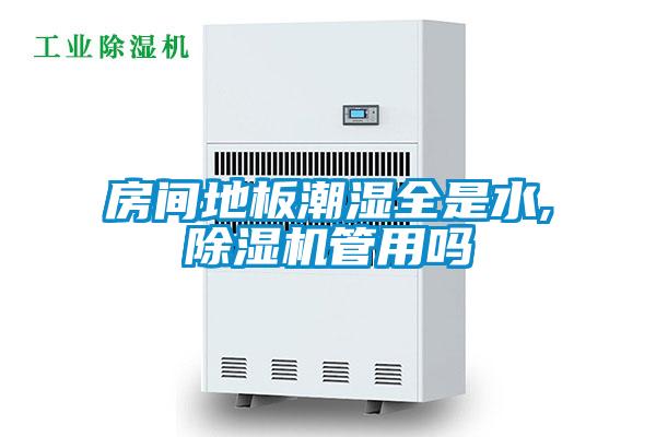 房間地板潮濕全是水,除濕機管用嗎