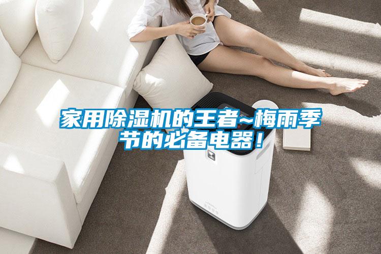 家用除濕機的王者~梅雨季節的必備電器！
