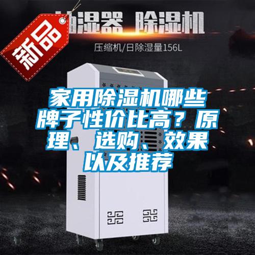 家用除濕機哪些牌子性價比高？原理、選購、效果以及推薦