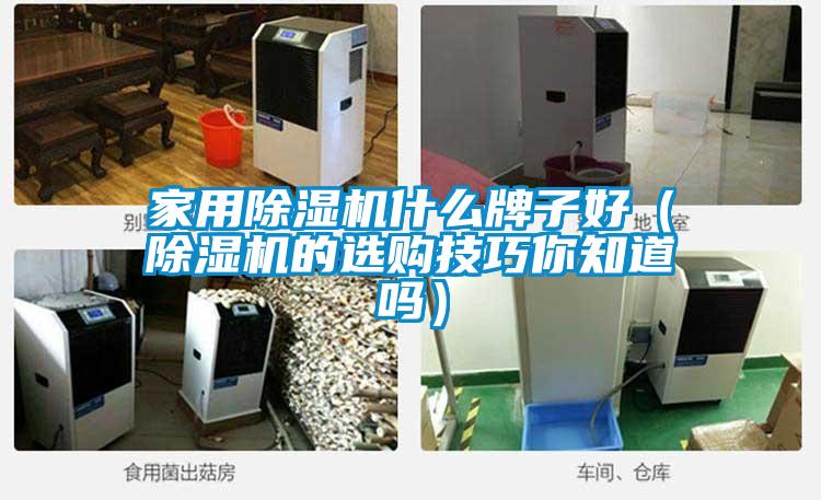 家用除濕機(jī)什么牌子好（除濕機(jī)的選購(gòu)技巧你知道嗎）