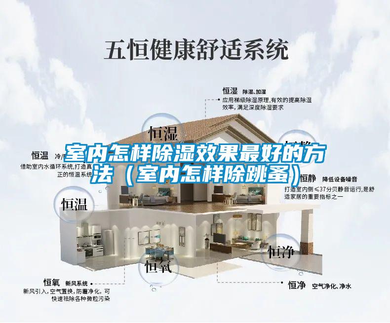 室內怎樣除濕效果最好的方法（室內怎樣除跳蚤）