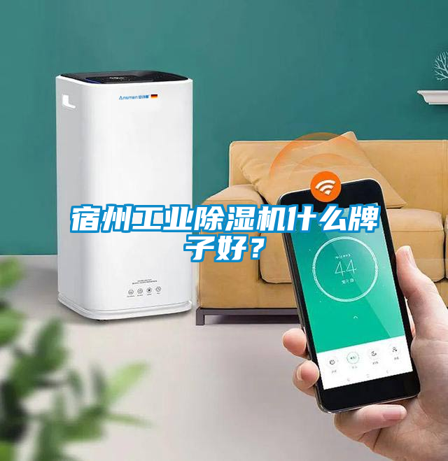 宿州工業(yè)除濕機(jī)什么牌子好？