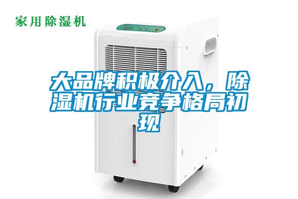 大品牌積極介入，除濕機行業競爭格局初現