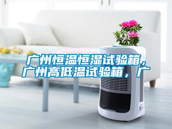 廣州恒溫恒濕試驗箱，廣州高低溫試驗箱，廣